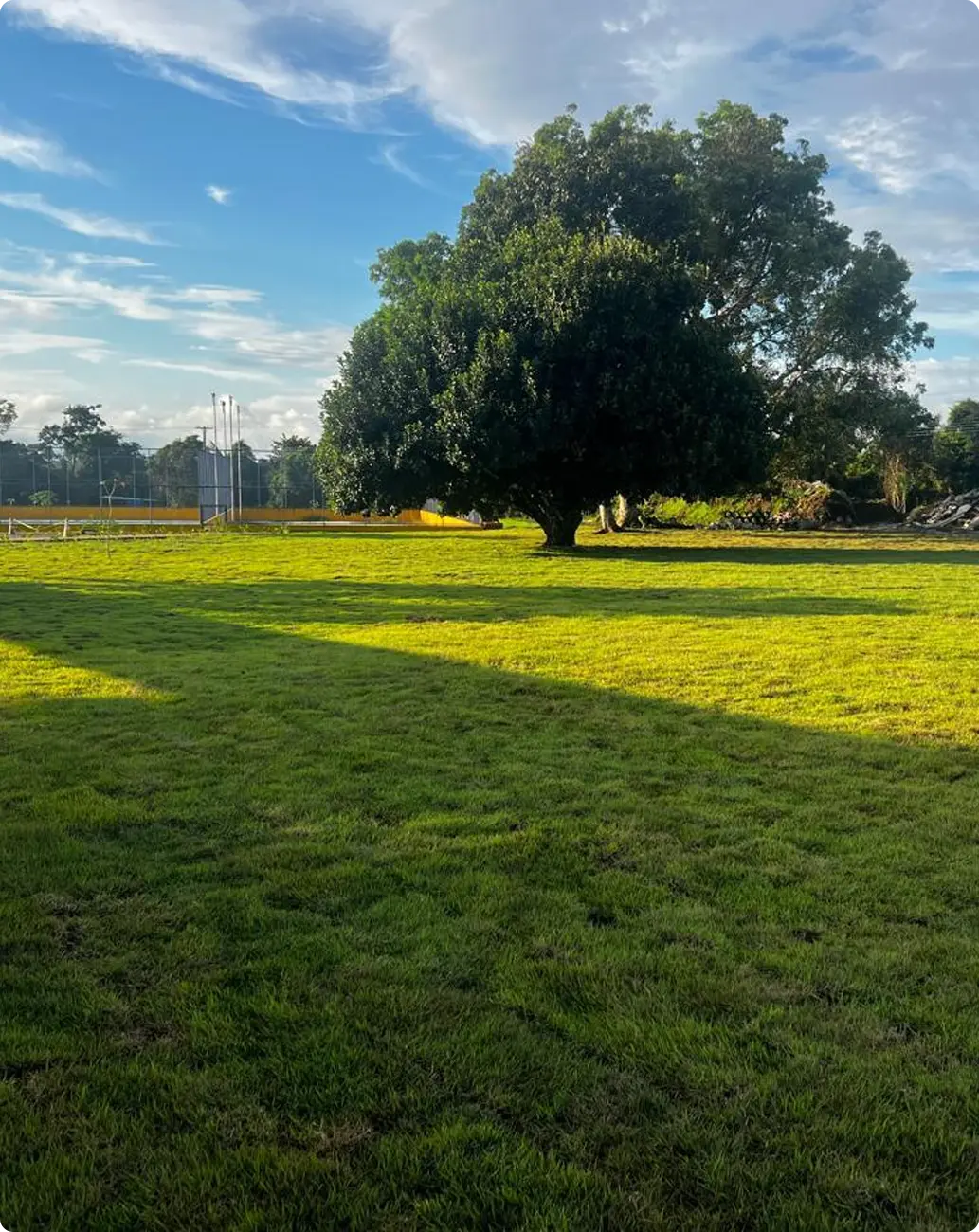 Área verde preservada após execução da obra
