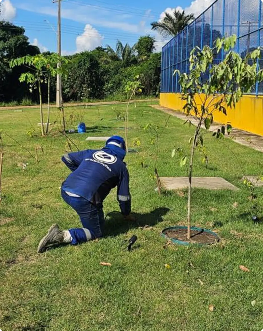 Plantio de mudas em área de convivência