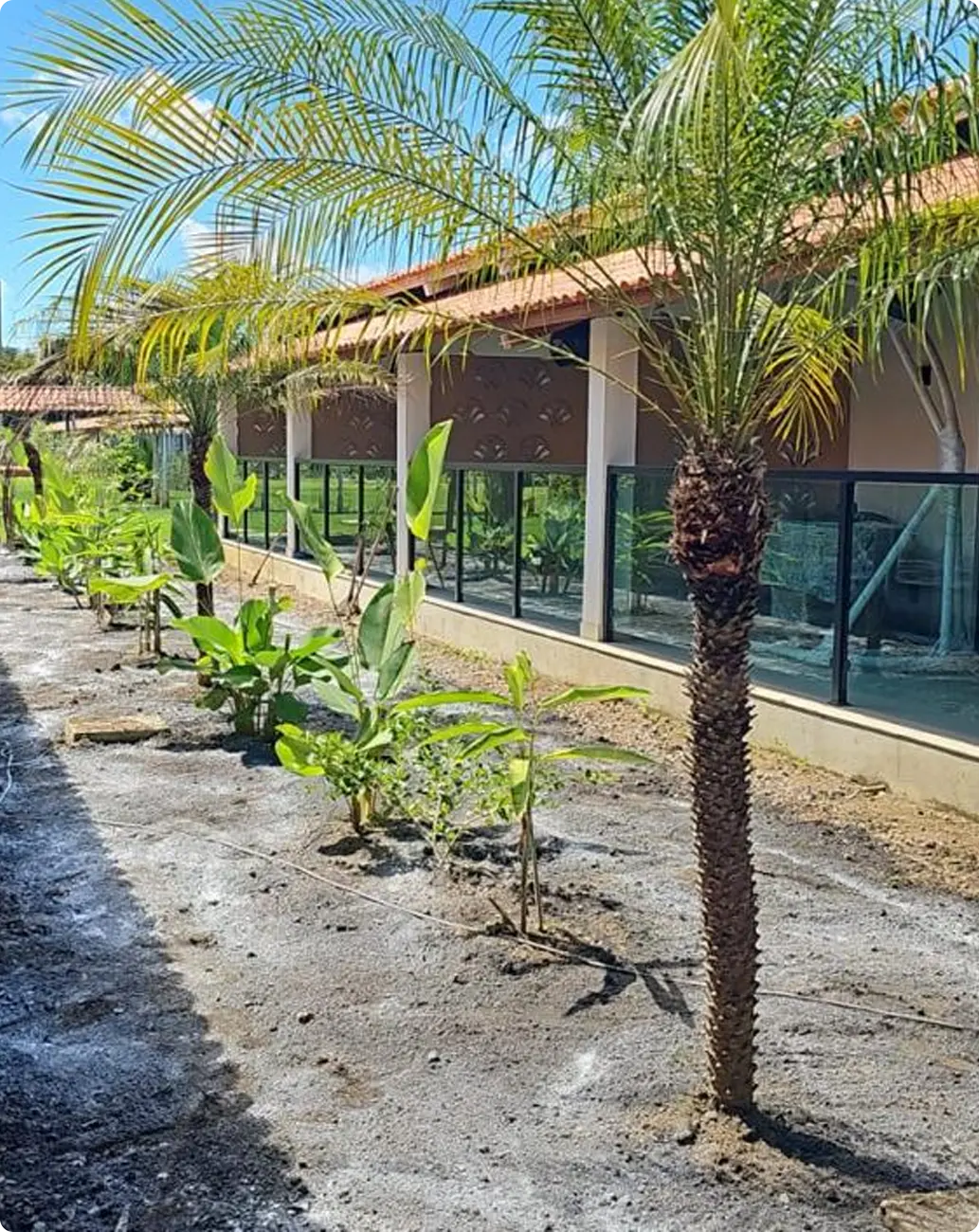 Paisagismo concluído ao longo da edificação